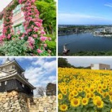 『静岡県 浜松市 の看護師、常勤・派遣・非常勤・パート・委託求人』の画像
