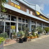 『５５５』の画像