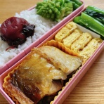 おべんと日記