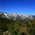 ☆★ヒメサユリ咲き始めた大朝日岳稜線〜古寺ルート情報