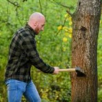 かんじのはなし