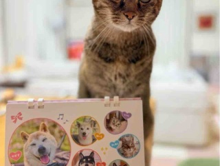 2026年版「かぼすちゃんとおさんぽ。」カレンダー発売のお知らせ