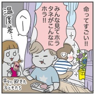 植物って癒し…ですね…