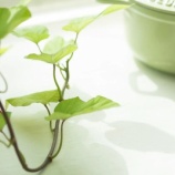 『何が起こるかわからないと意識してしまう』の画像