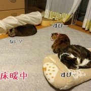 天竺はもうそこかも。