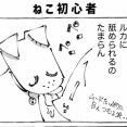 うちの犬のルカ。【５６】