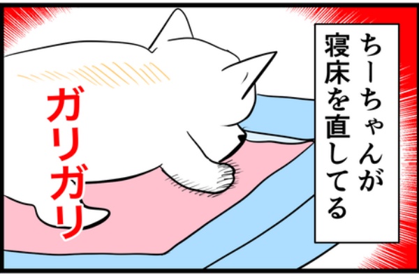 ちーちゃんです。 ちーちゃん/ZX-4RR (@bakusoumotochiz) / X