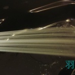 フィッシング羽響天