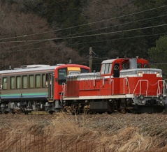草ぼうぼう
