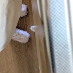 白文鳥のぴーちゃんの記録