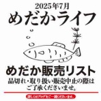 めだかライフ