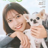 『[イコラブ] 「月刊わんこvol.35」さなつん & もんちゃん Special Editionの表紙に』の画像