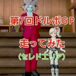 『第7回ドルボGP（セレドエリア）走ってみた。』の画像