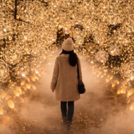 【京都】1ヶ月だけの幻想的な世界　～東寺月回廊