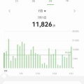 年間平均歩数
