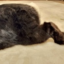 心底、思うこと。