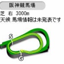 【競馬】阪神大賞典の予想オッズ見るとアドマイヤテラとダノンシーマの2強オッズに