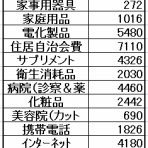 下流のお一人様家計簿blog☆彡