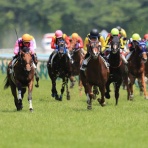 きらもふゆりり