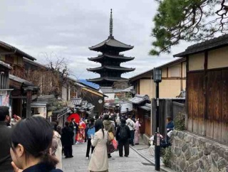 京都は桜が満開