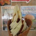 沖縄　道の駅おおぎみのソフトクリーム　カラキとシークワーサー