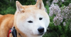 暑いよねぇ…