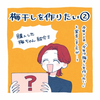 梅干しを作りたい②購入した梅紹介