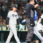 一緒に阪神タイガースを応援しよう！