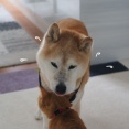 加齢による黒ずみ…