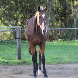 『準備完了』の画像