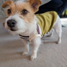 連休だったのか