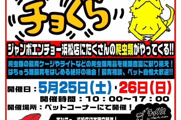 爬虫類倶楽部ファームブログ 浜松店