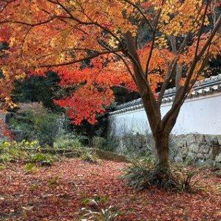 長崎＠諫早市民 ふくちゃんの食う・寝る・遊ぶ日記