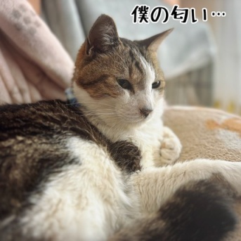 洗うべきか…洗わざるべきか…