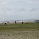 大洗で３ケ月ぶりの復帰