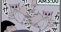 深夜から早朝の「メンヘラ猫の身勝手な日常」