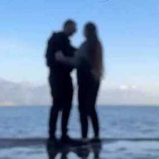 猫の動画 ねこわん！