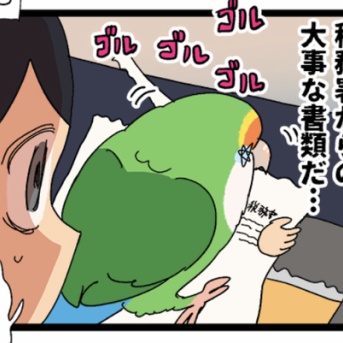 愛鳥が楽しそうにイタズラをしていたら止められる飼い主、おる……？