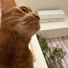 曲芸ひめちゃんを見上げる