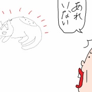 猫の健康診断でまさかのAdo登場