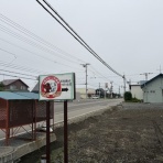 NPO犬猫みなしご救援隊・代表ブログ・みなしご庵へようこそ