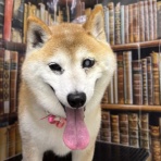 ズーズーカンパニー スタッフブログ