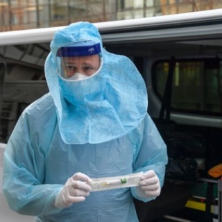 カイカイ反応通信