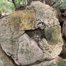 高安古墳群　二室塚古墳