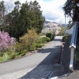 �شݵ��Ԥ������ڹ��Υۥ磻�ȥ��åɥ��꡼���Υ�ӥ󥰥������ȡ�WOL-200��Ǽ�ʡ٤β���