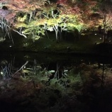 『水鏡に、映る紅葉、いと綺麗。京都・高台寺のライトアップ！』の画像