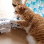 ミミオレ。