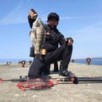 堺出島漁港 夢フィッシング お知らせ、釣果情報