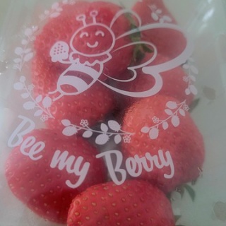 倉木麻衣 オフィシャルブログ