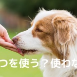 『嫌がることを嫌だと言ってはいけないと支配することがしつけになっていませんか？』の画像